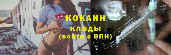 ECSTASY Белокуриха