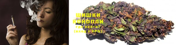 прущие грибы Белоозёрский