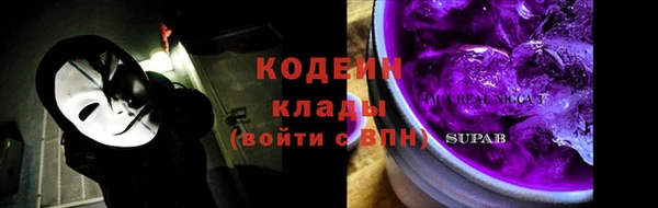 прущие грибы Богородск