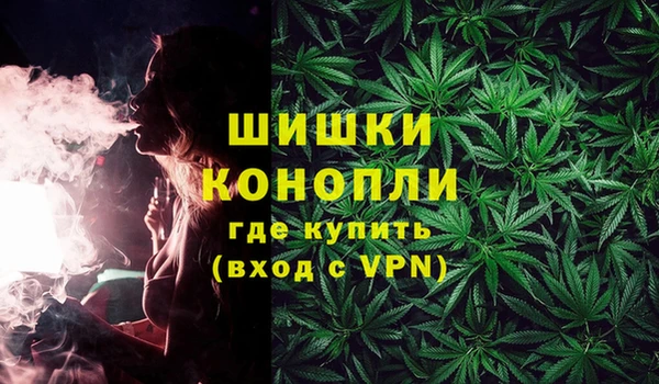 ECSTASY Белокуриха