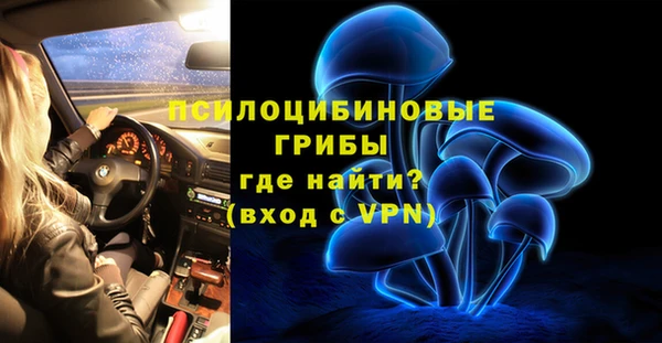 ECSTASY Белокуриха