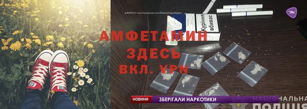 прущие грибы Богородск