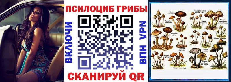 Галлюциногенные грибы ЛСД Купить закладки Вязьма